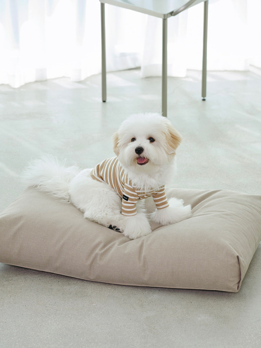Msdfvs | Oatmeal Tone Pet Bed for Calm and Neutral Indoor Zones