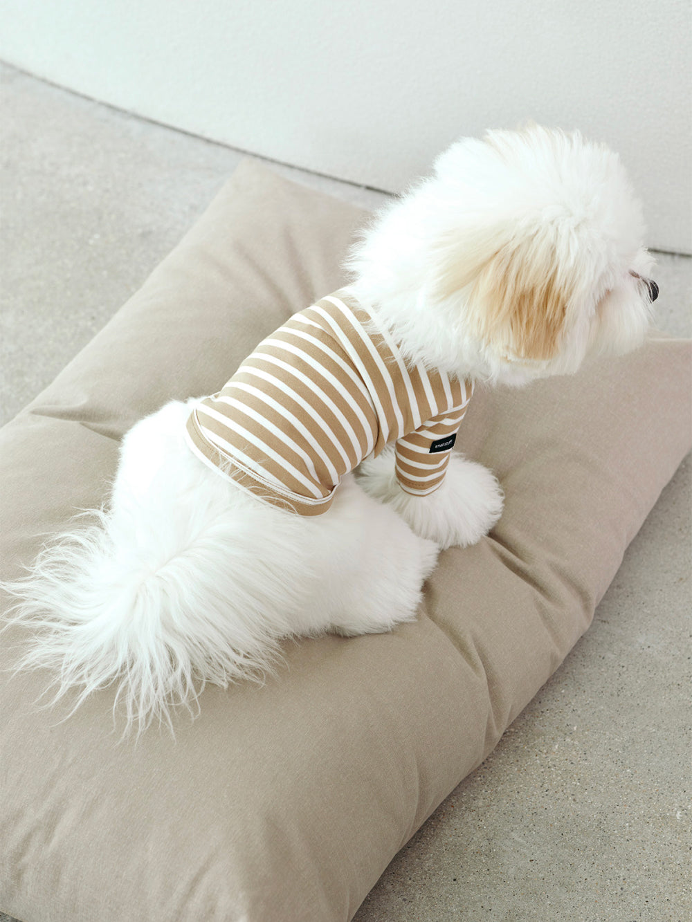 Msdfvs | Oatmeal Tone Pet Bed for Calm and Neutral Indoor Zones