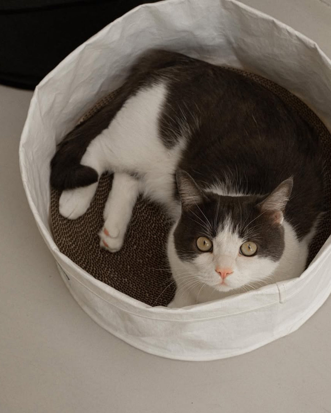 Msdfvs | Soft Pet Sleep Bag for Organized Indoor Resting Spaces