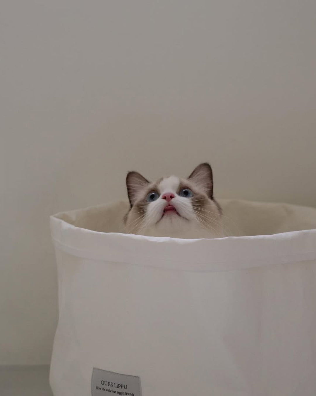 Msdfvs | Soft Pet Sleep Bag for Organized Indoor Resting Spaces