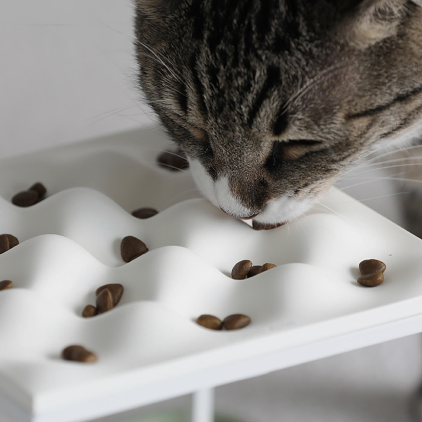 Msdfvs | Compact Pet Dining Set for Small Indoor Feeding Spaces