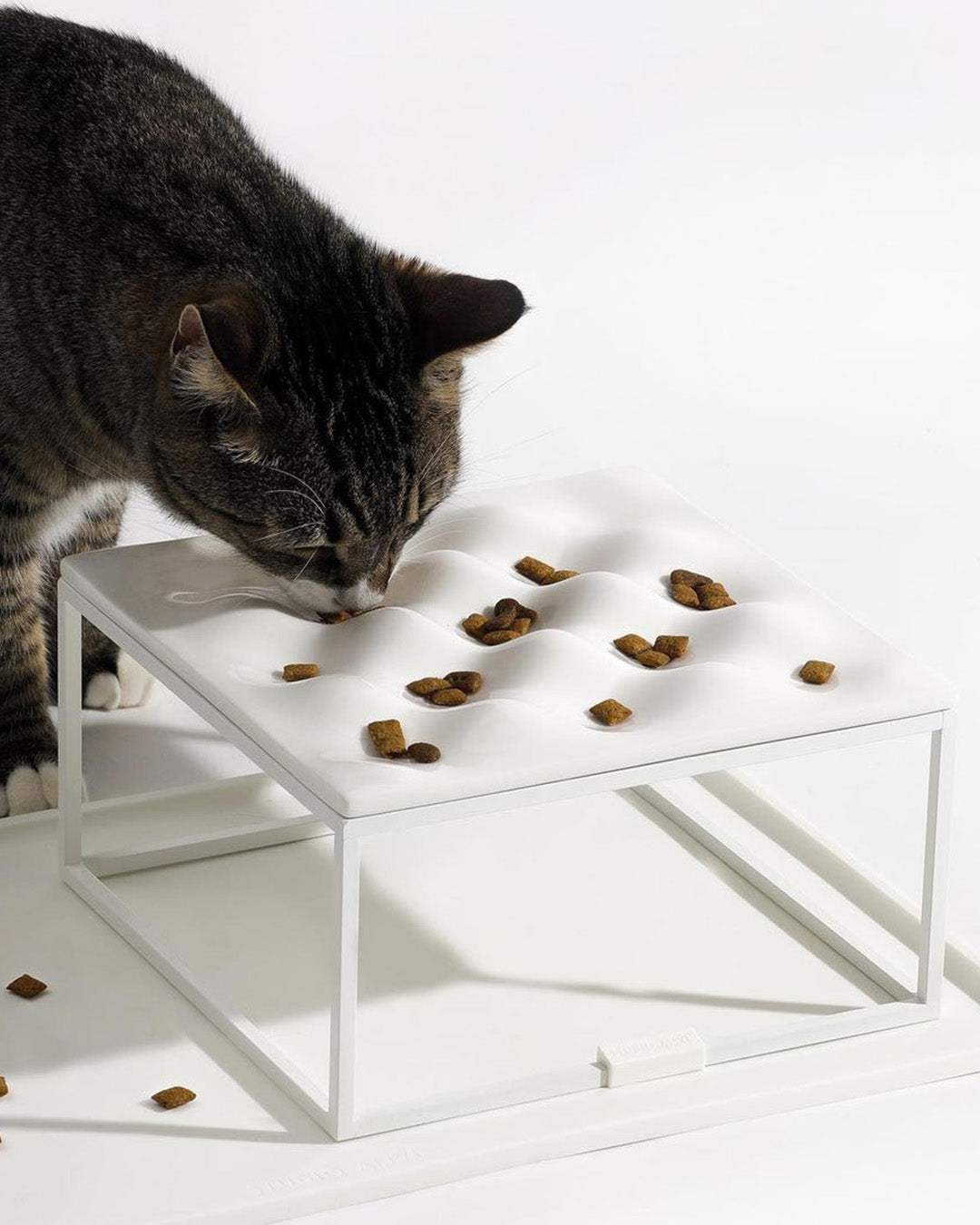 Msdfvs | Compact Pet Dining Set for Small Indoor Feeding Spaces