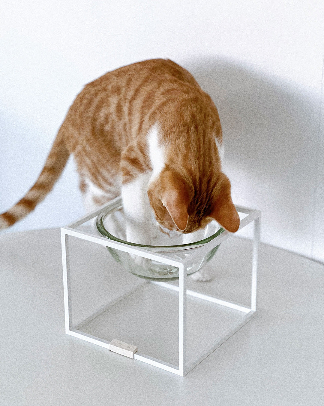 Msdfvs | Compact Pet Dining Set for Small Indoor Feeding Spaces