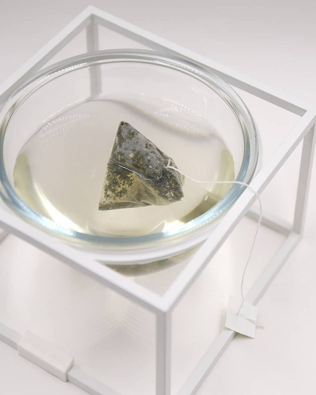 Msdfvs | Compact Pet Dining Set for Small Indoor Feeding Spaces