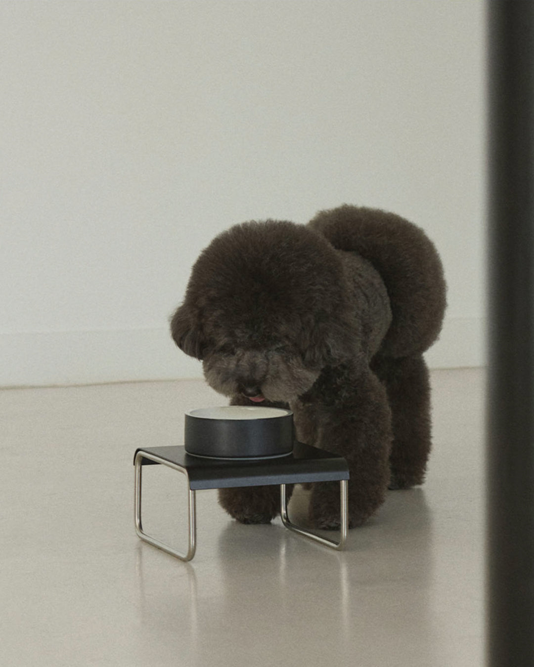 Msdfvs | Black Square Pet Dining Set for Structured Indoor Feeding Areas