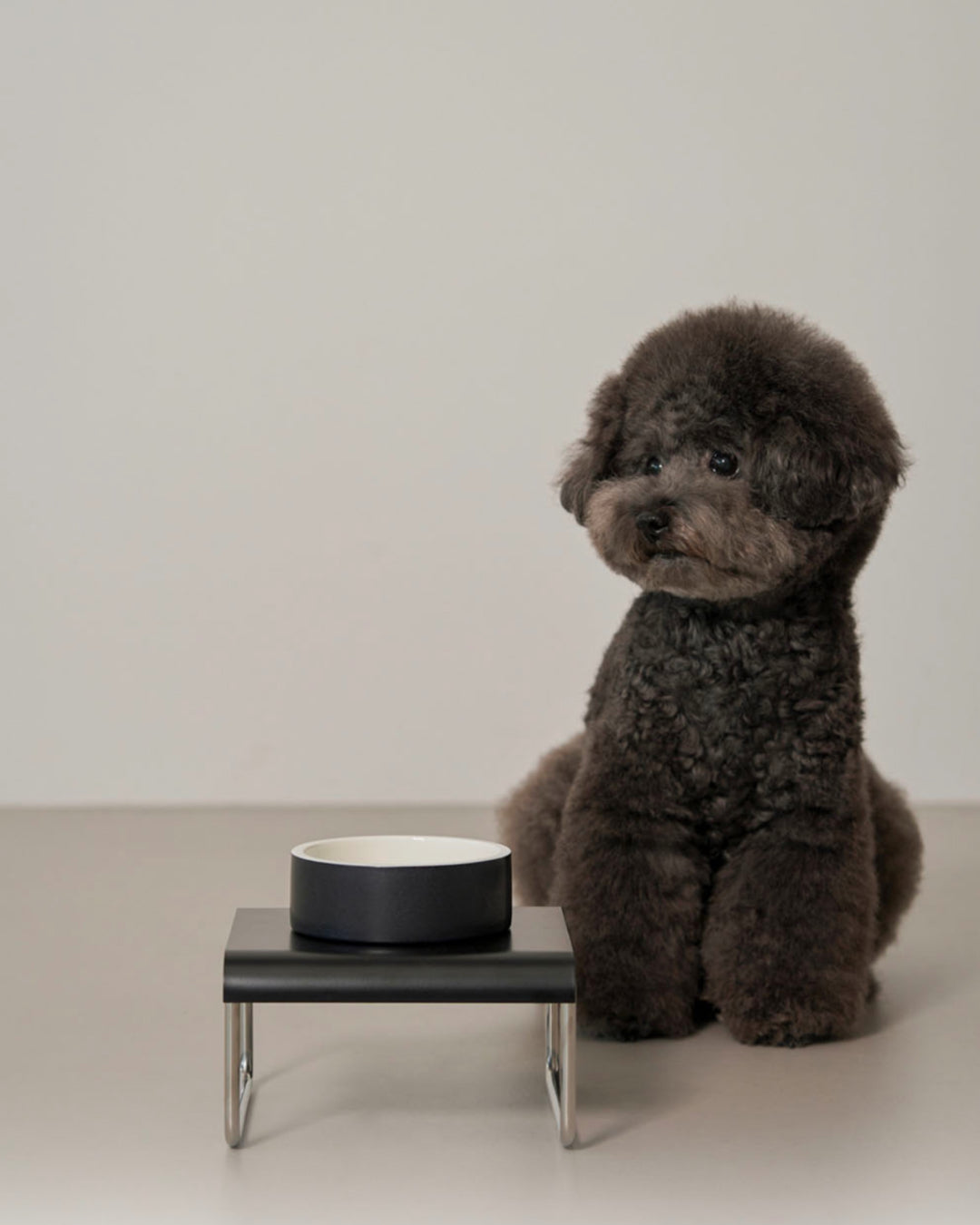 Msdfvs | Black Square Pet Dining Set for Structured Indoor Feeding Areas