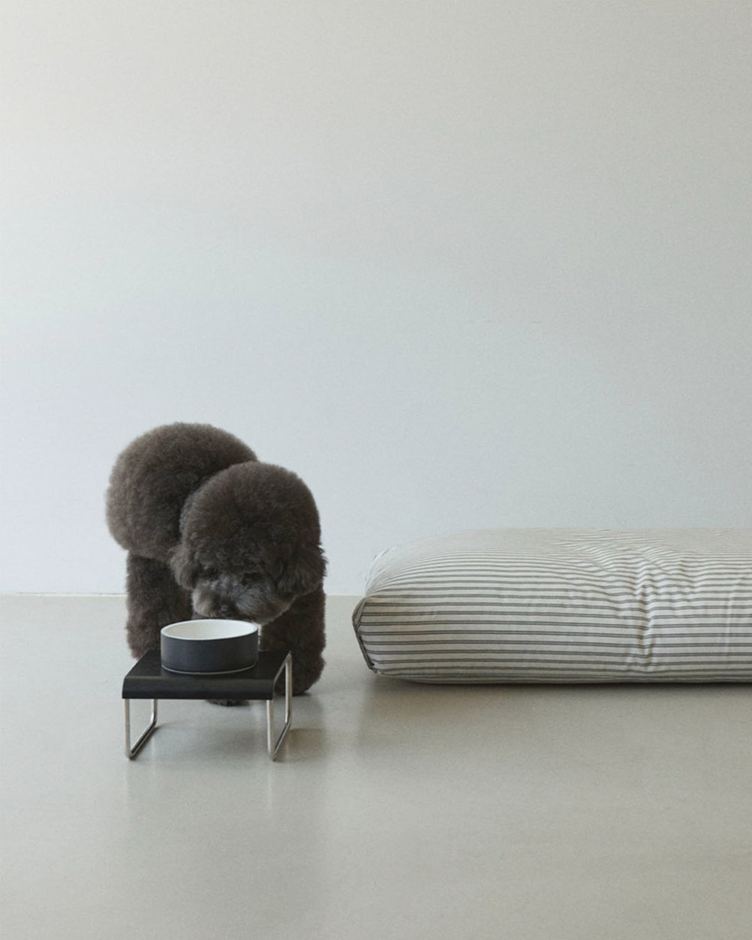 Msdfvs | Black Square Pet Dining Set for Structured Indoor Feeding Areas