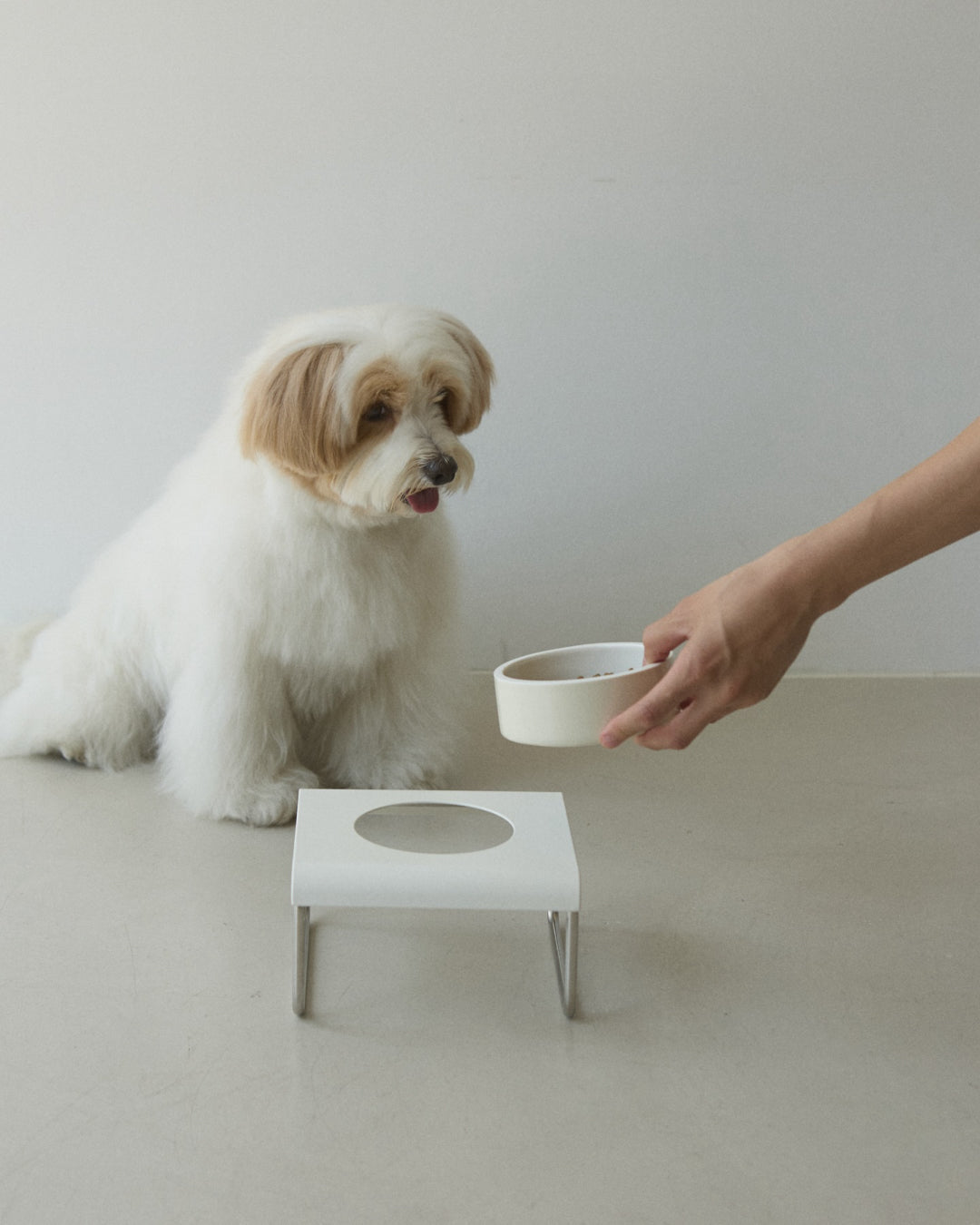 Msdfvs | White Square Pet Dining Set for Organized Indoor Feeding Areas