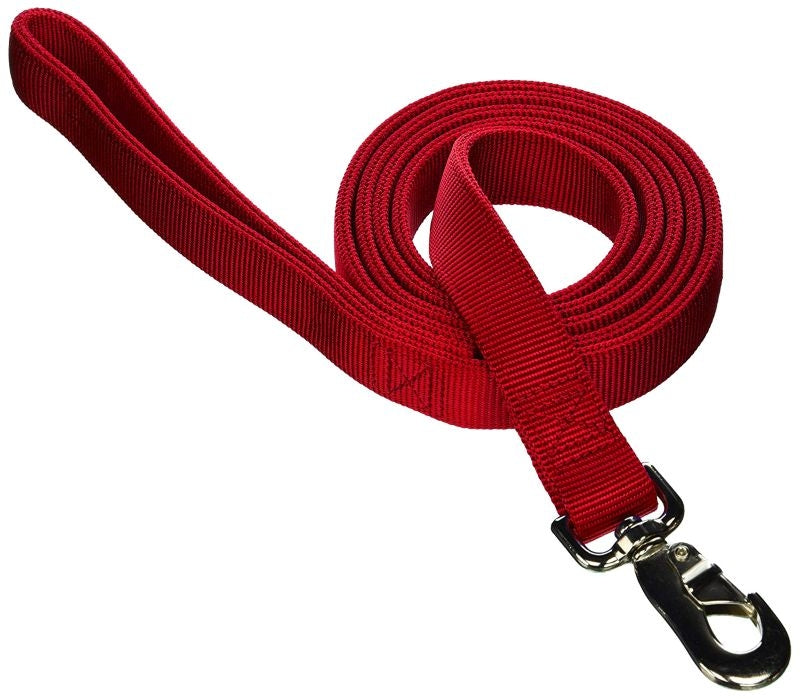 Msdfvs | Reinforced Dog Lead – Double Layer Leash for Regular Use