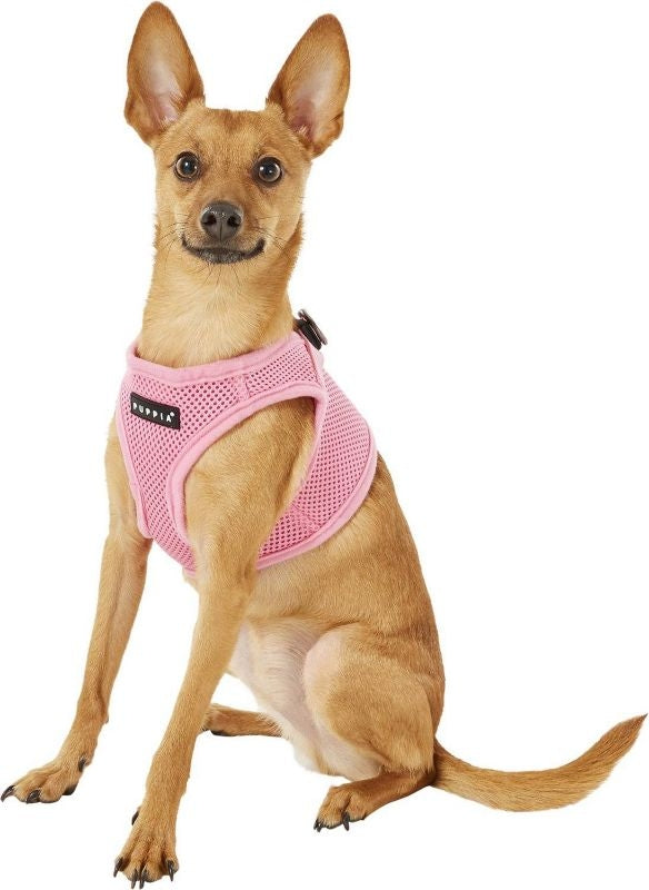 Msdfvs | Comfortable Dog Harness Vest – Soft Fit Harness for Daily Outings