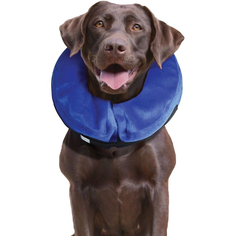 Msdfvs | Adjustable Dog Collar with Cloud Style Design – Comfortable Pet Collar for Everyday Use