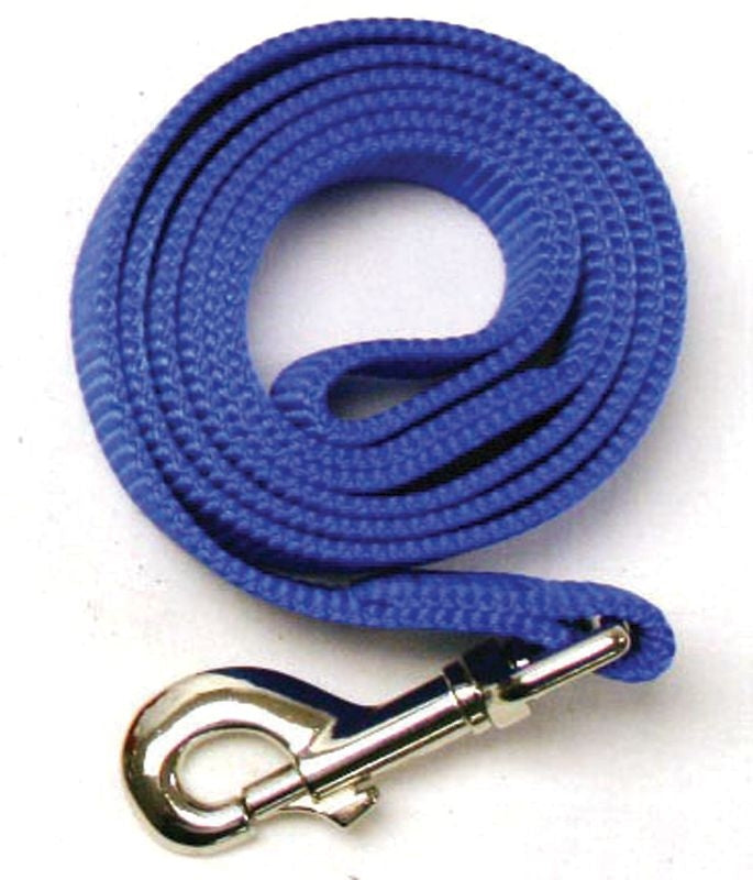 Msdfvs | Nylon Dog Leash for Everyday Walking, Lightweight Pet Lead for Daily Use