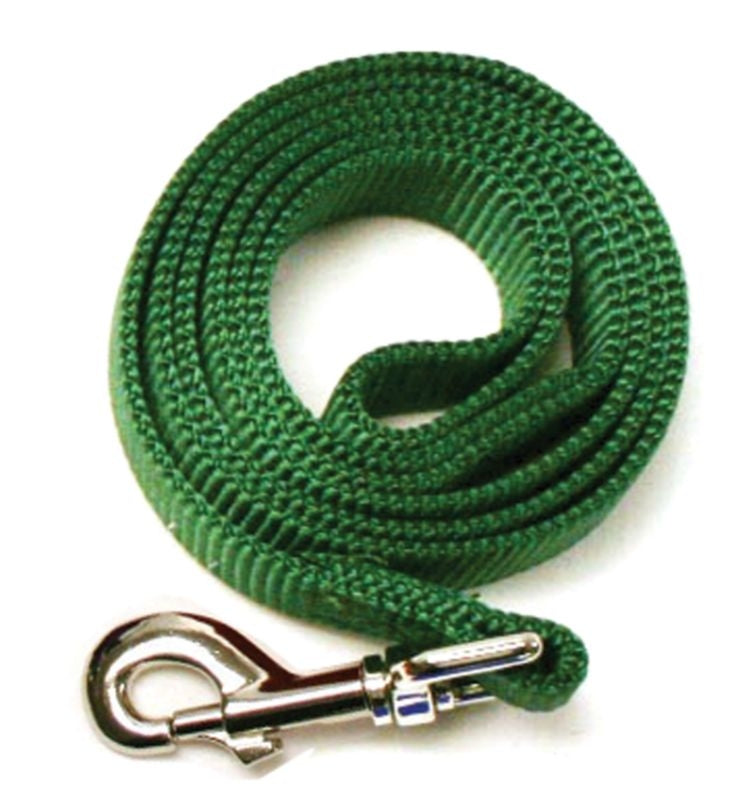 Msdfvs | Nylon Dog Leash for Everyday Walking, Lightweight Pet Lead for Daily Use