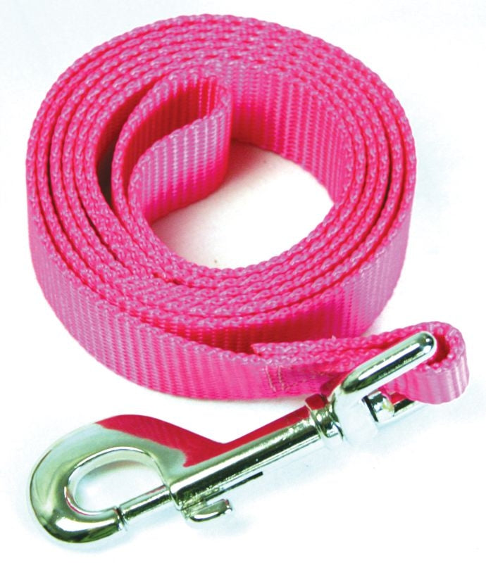 Msdfvs | Nylon Dog Leash for Everyday Walking, Lightweight Pet Lead for Daily Use