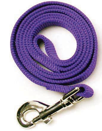 Msdfvs | Nylon Dog Leash for Everyday Walking, Lightweight Pet Lead for Daily Use