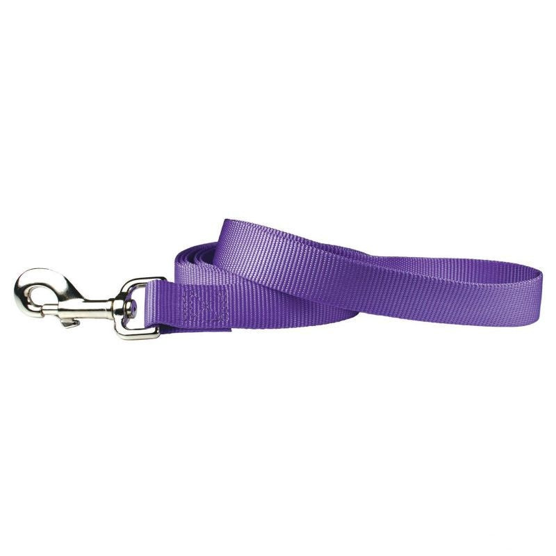 Msdfvs | Nylon Dog Leash for Everyday Walking, Lightweight Pet Lead for Daily Use