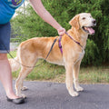 Msdfvs | Multi-Use Dog Harness – 3-in-1 Dog Vest Harness for Everyday Walking