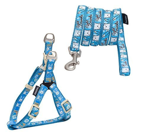 Msdfvs | Adjustable Dog Harness with Matching Leash – Set for Controlled Walks