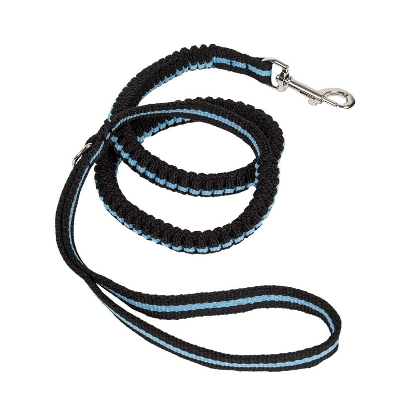 Msdfvs | Shock Reducing Dog Leash for Walks & Outdoor Activity