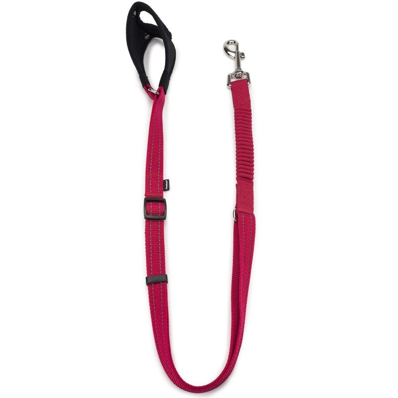 Msdfvs | 3/4 Inch Dog Leash – Durable Walking Lead for Regular Use