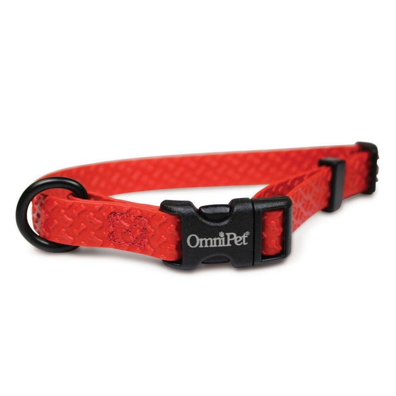 Msdfvs | Sport Style Adjustable Dog Collar – Everyday Pet Collar for Active Dogs