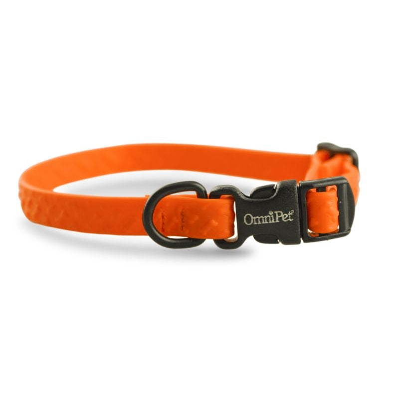 Msdfvs | Sport Style Adjustable Dog Collar – Everyday Pet Collar for Active Dogs