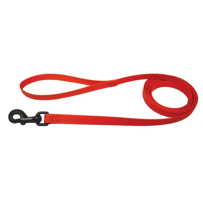 Msdfvs | 6 Ft Dog Walking Leash – Sport Inspired Leash with Bone Print Design