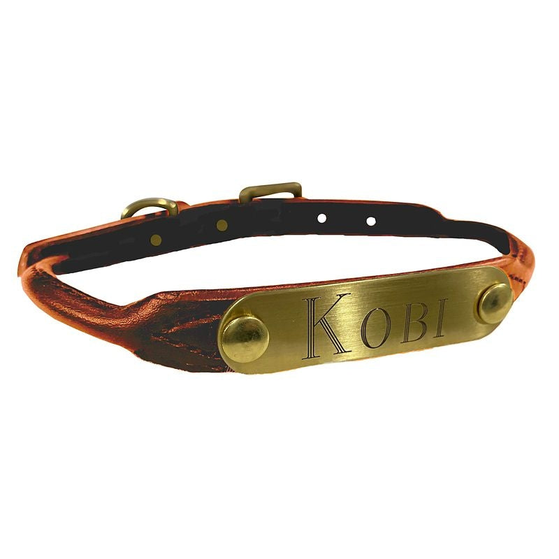Msdfvs | Custom Rolled Leather Dog Collar with Name Detail, Rounded Design for Daily Use