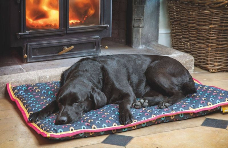 Msdfvs | Waterproof Pet Bed for Small & Medium Dogs – Indoor Durable Lounge Mat, Easy-Clean Dog Cushion