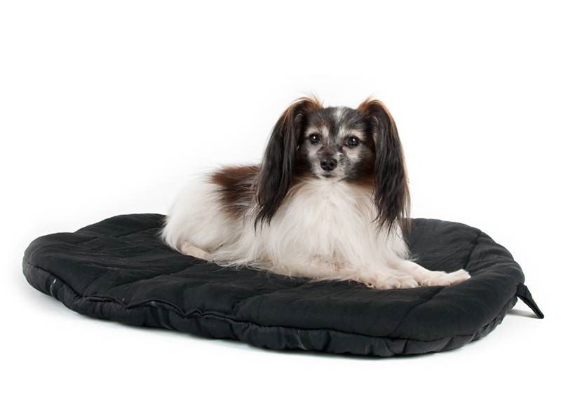 Msdfvs | Travel Pet Bed for Small & Medium Dogs – Portable Indoor/Outdoor Lounge Mat, Washable Dog Cushion