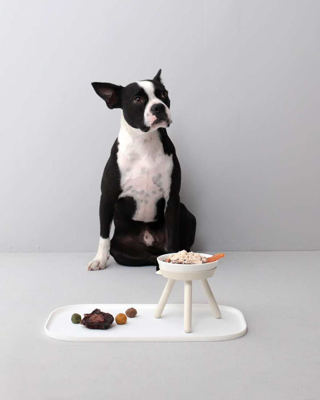 Msdfvs | White Tall Pet Table for Visually Elevated Indoor Feeding Areas