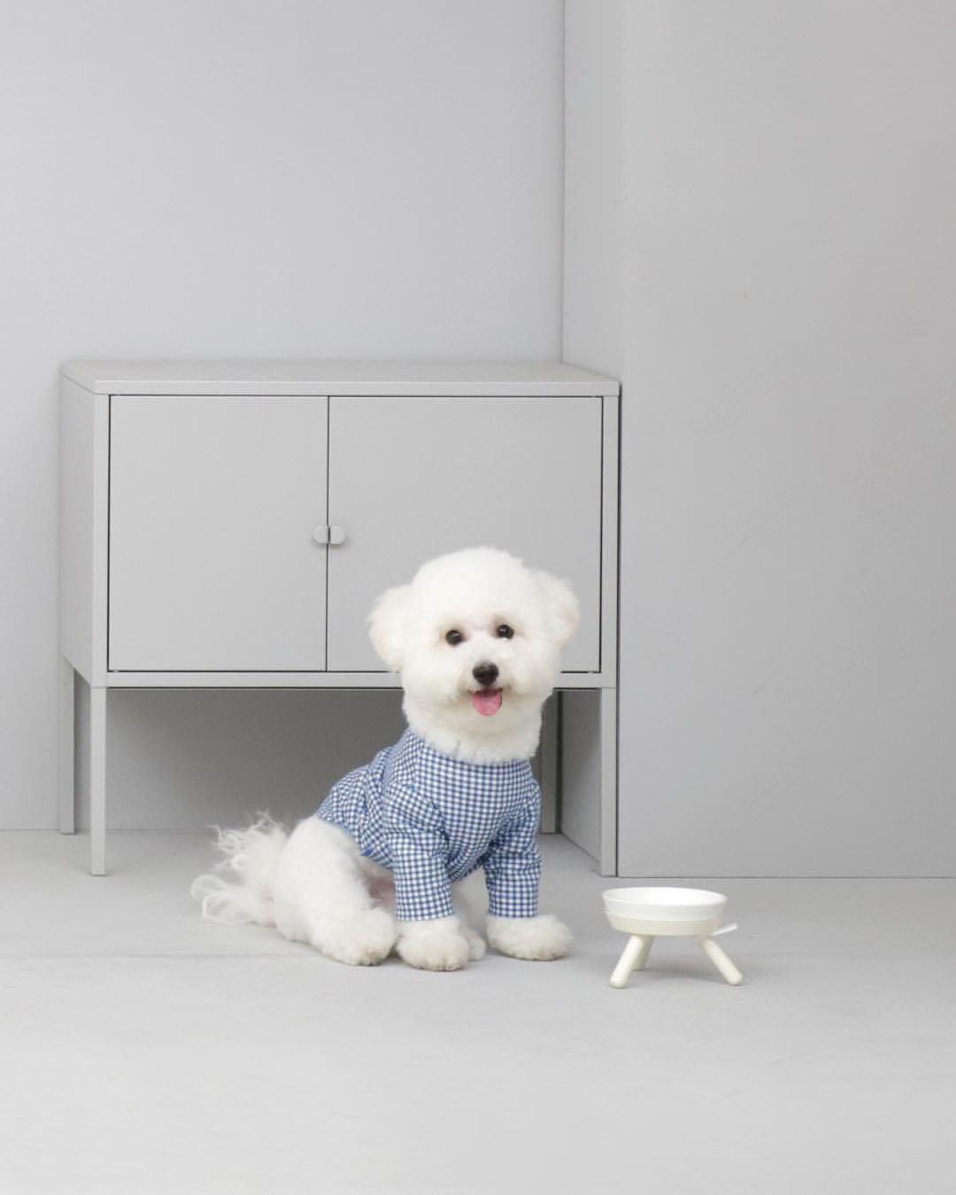 Msdfvs | White Low-Profile Pet Table for Clean and Grounded Feeding Areas