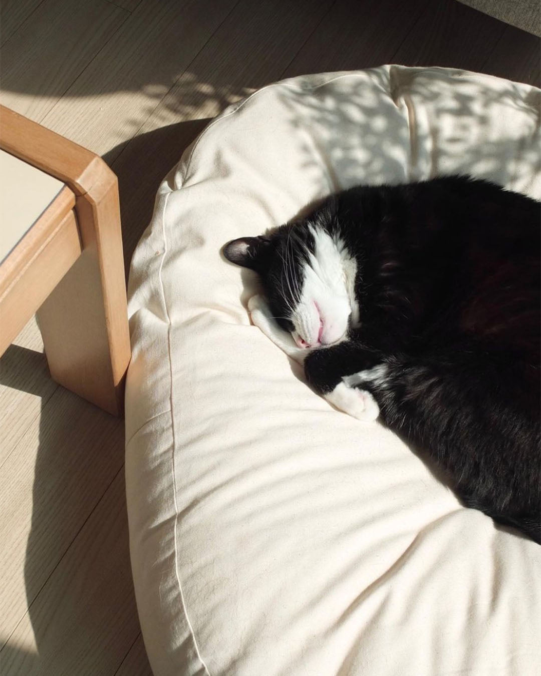 Msdfvs | Double Pouf Style Pet Floor Cushion for Flexible Indoor Placement