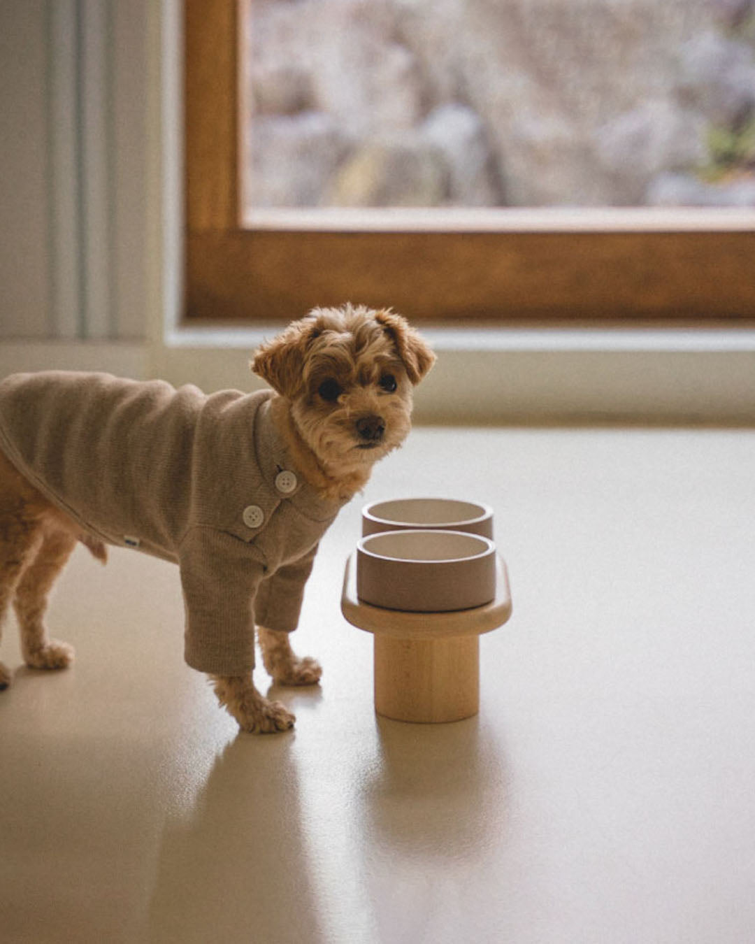 Msdfvs | Vintage Rose Pet Table for Softly Accented Indoor Feeding Spaces