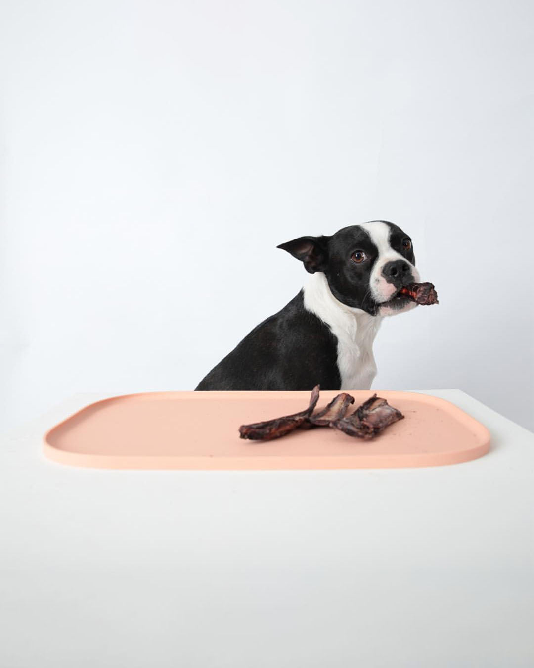 Msdfvs | Pink Pet Floor Mat for Softly Accented Indoor Pet Areas