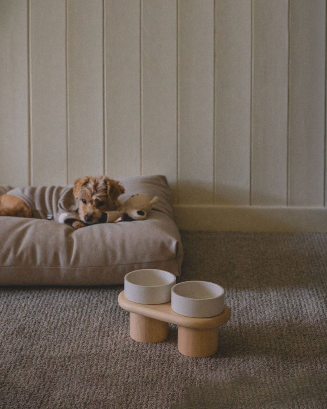 Msdfvs | Snow White Pet Table for Bright and Minimal Indoor Feeding Areas