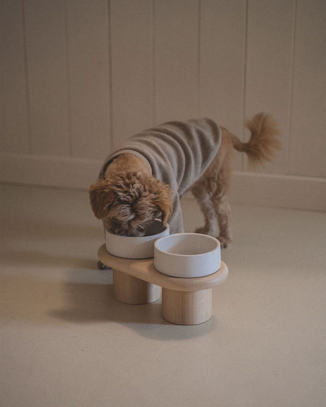 Msdfvs | Snow White Pet Table for Bright and Minimal Indoor Feeding Areas