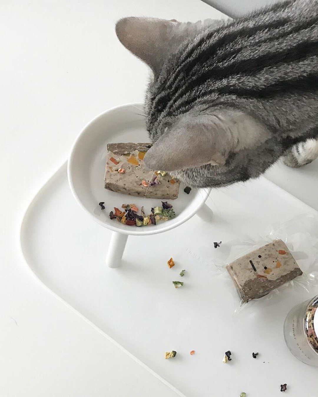 Msdfvs | White Pet Floor Mat for Clean and Defined Indoor Zones