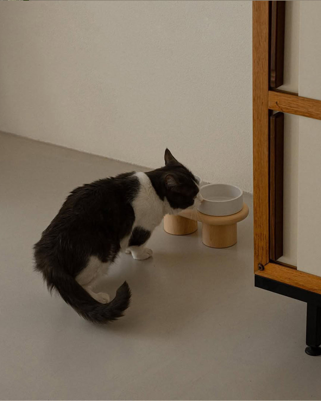 Msdfvs | Snow White Pet Table for Bright and Minimal Indoor Feeding Areas