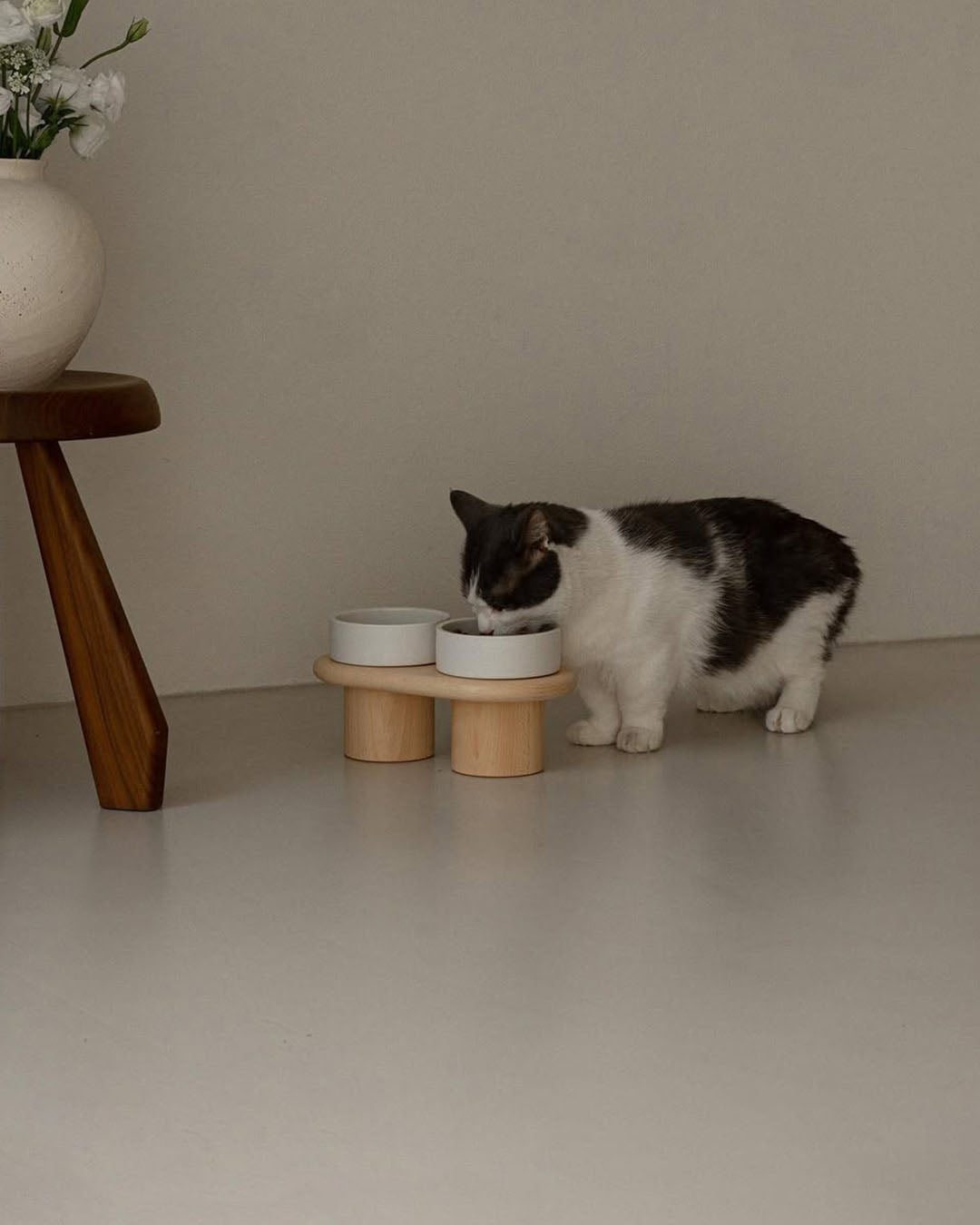 Msdfvs | Snow White Pet Table for Bright and Minimal Indoor Feeding Areas