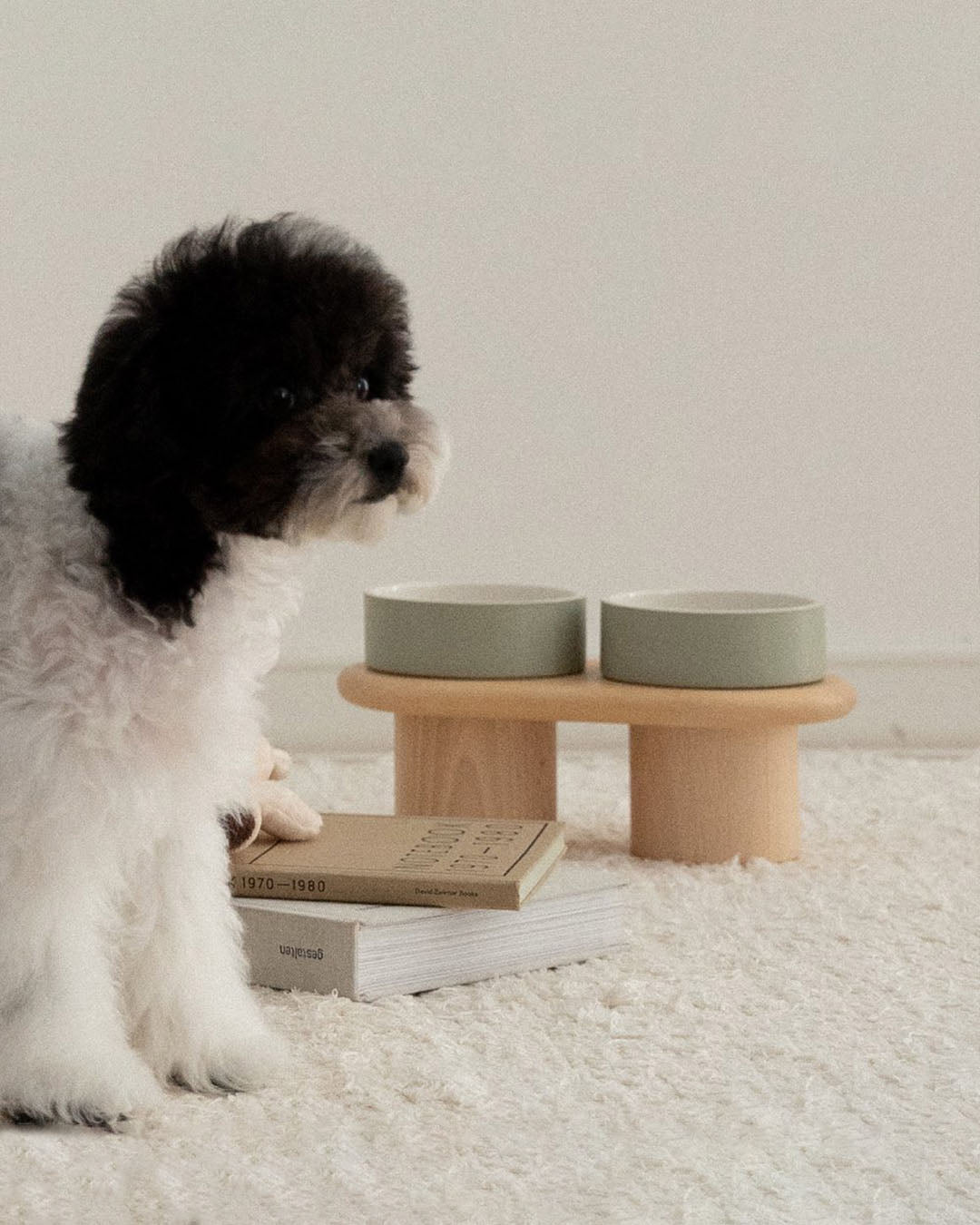 Msdfvs | Soft Green Pet Table for Calm Indoor Feeding Corners