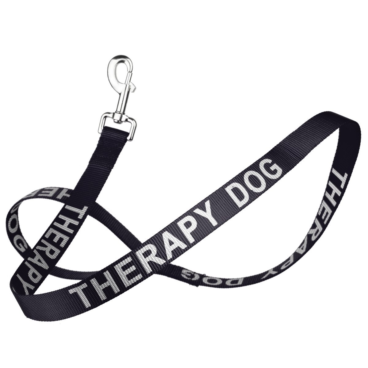 Msdfvs | Reflective Nylon Dog Leash – Evening Walks, Training Sessions & Outdoor Adventures