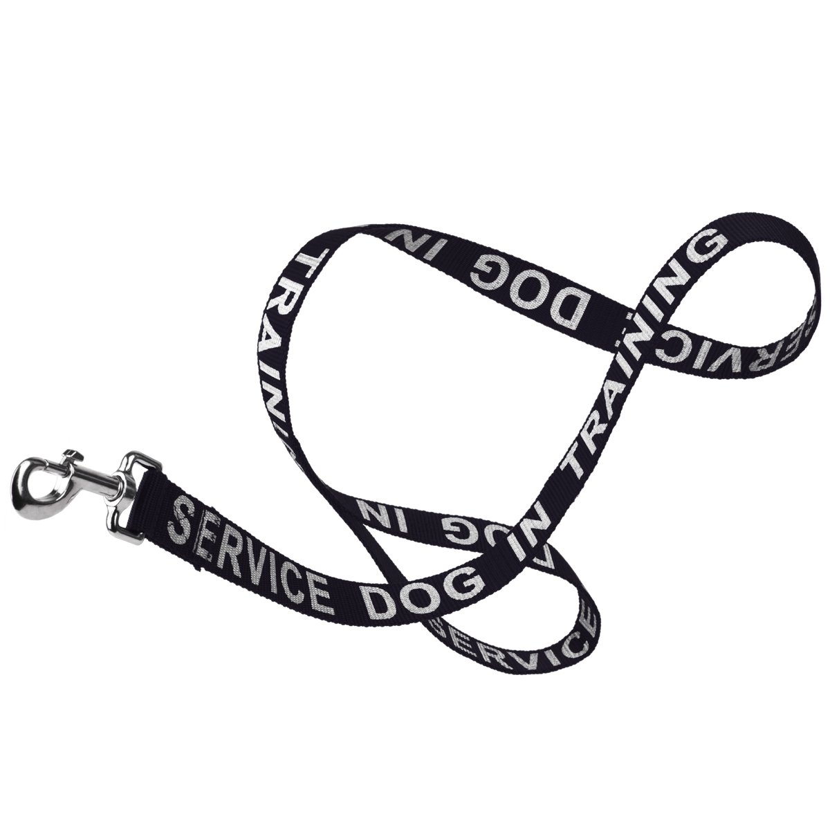 Msdfvs | Reflective Nylon Dog Leash – Evening Walks, Training Sessions & Outdoor Adventures