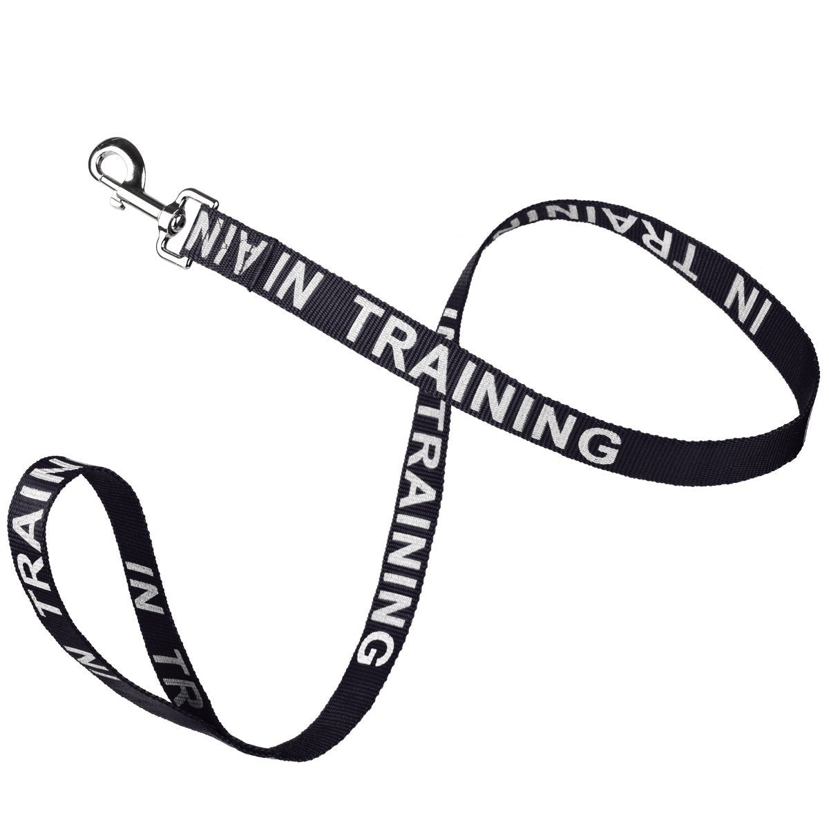 Msdfvs | Reflective Nylon Dog Leash – Evening Walks, Training Sessions & Outdoor Adventures