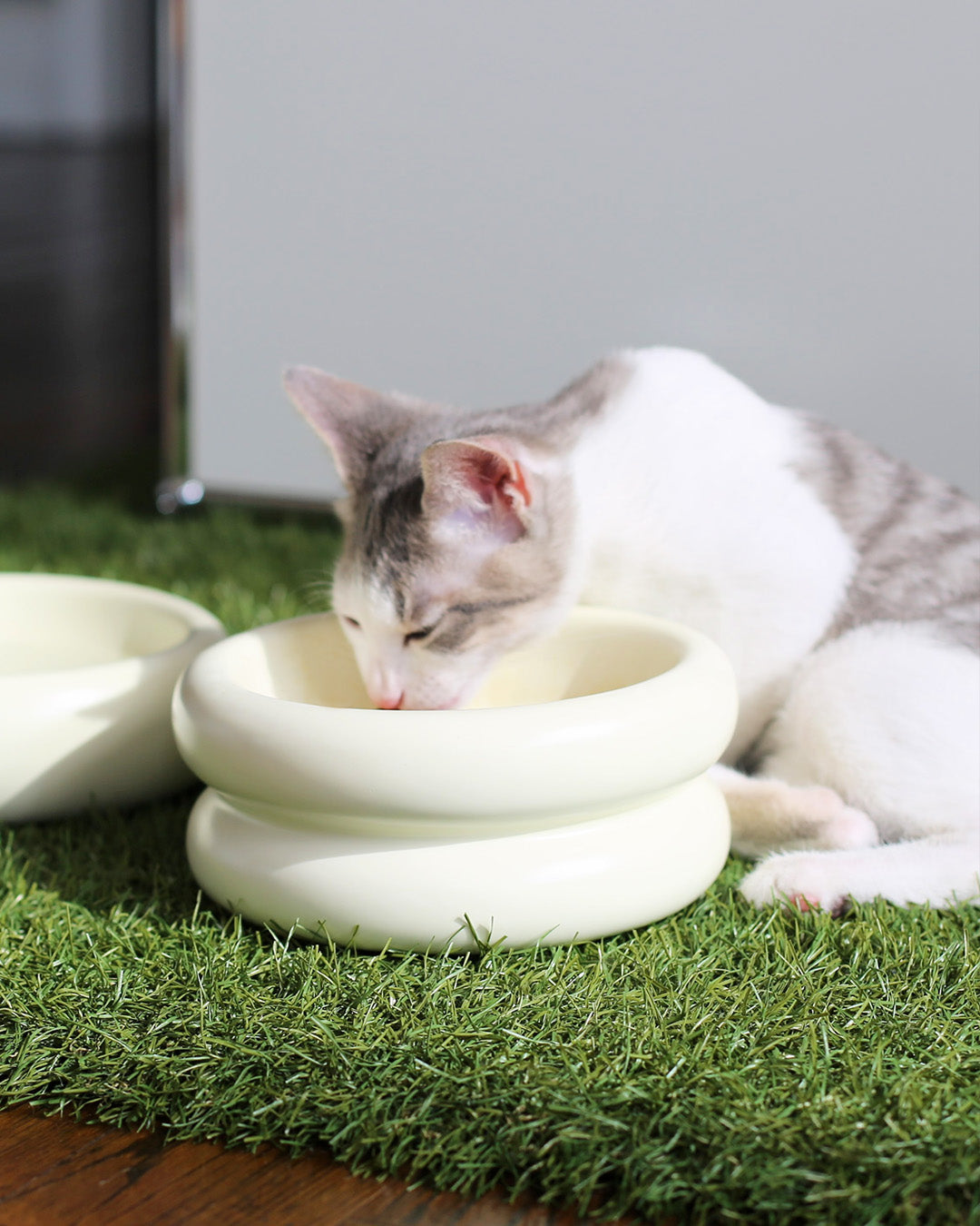 Msdfvs | Elevated Pet Bowl Stand for Visually Defined Feeding Zones