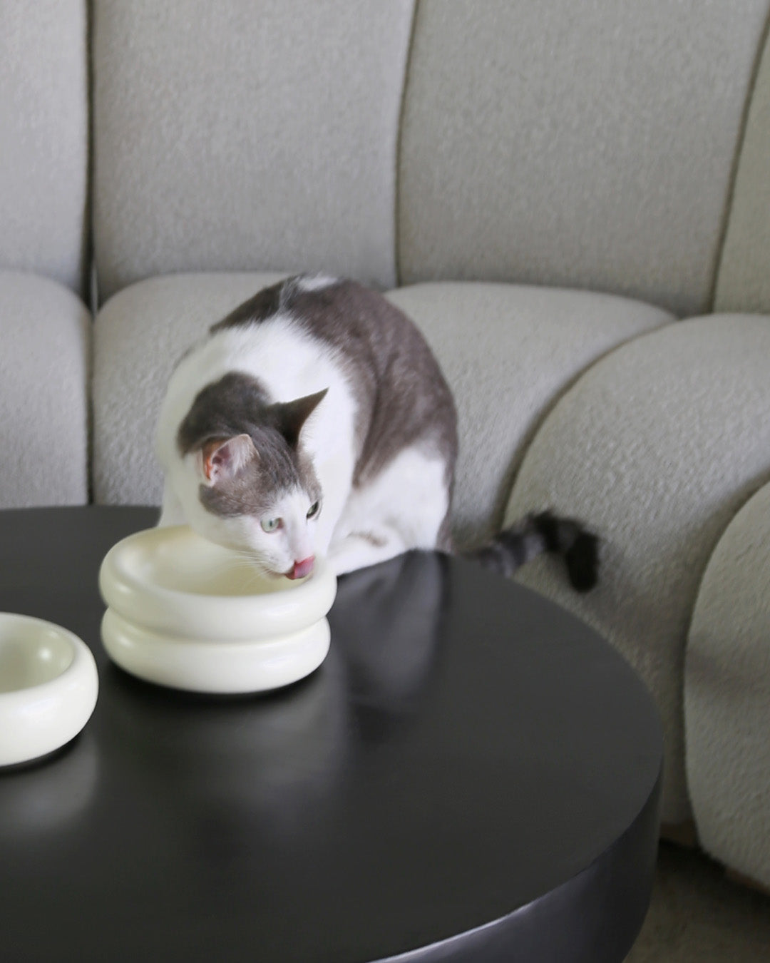 Msdfvs | Elevated Pet Bowl Stand for Visually Defined Feeding Zones