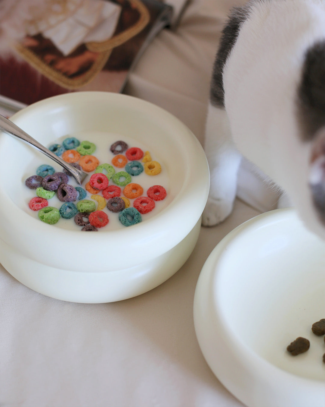 Msdfvs | Elevated Pet Bowl Stand for Visually Defined Feeding Zones