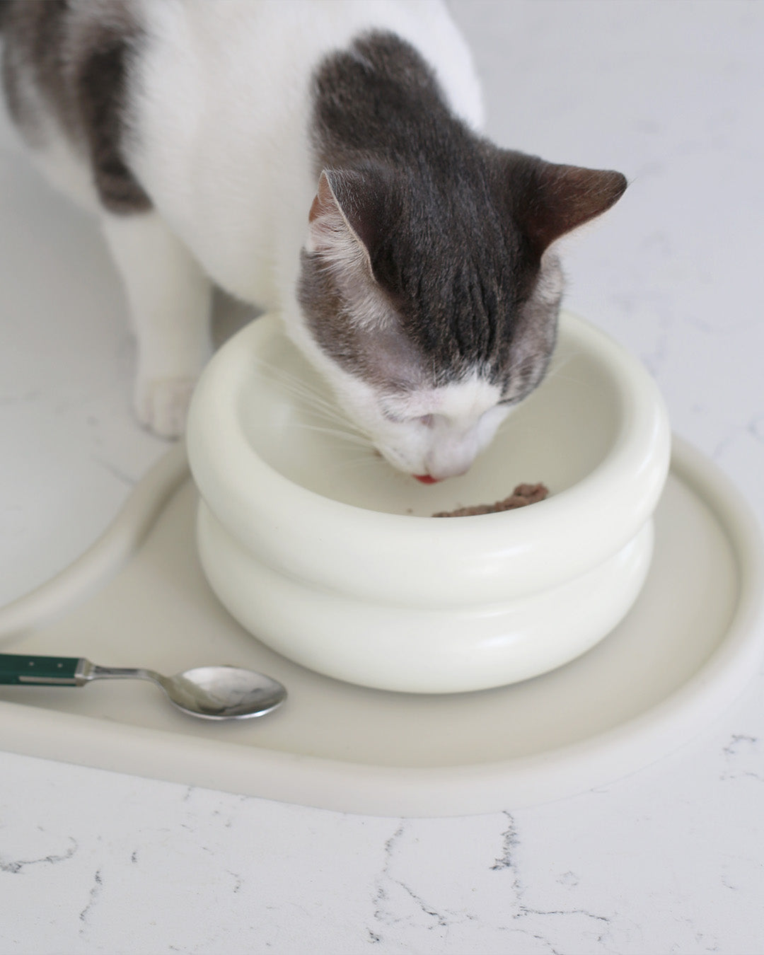 Msdfvs | Elevated Pet Bowl Stand for Visually Defined Feeding Zones