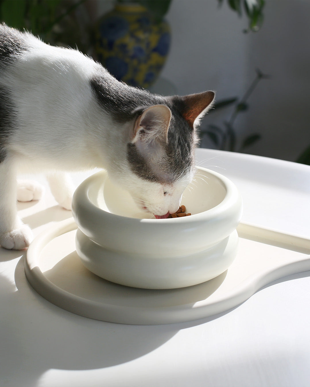 Msdfvs | Elevated Pet Bowl Stand for Visually Defined Feeding Zones