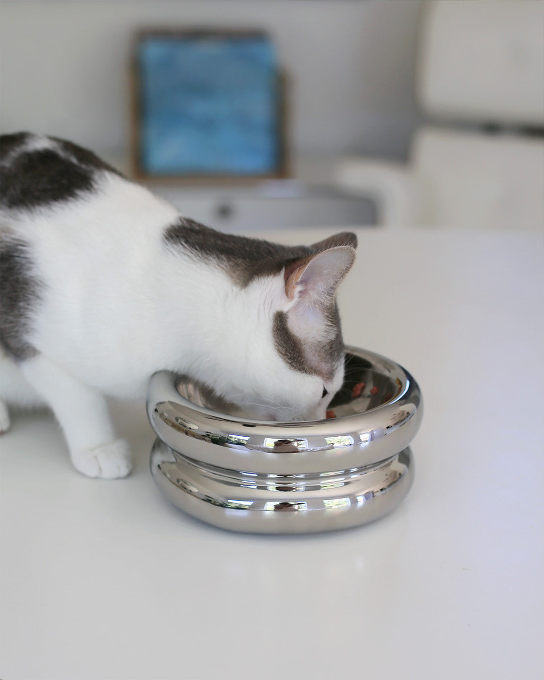Msdfvs | Chrome Finish Elevated Pet Bowl Stand for Modern Indoor Feeding Areas